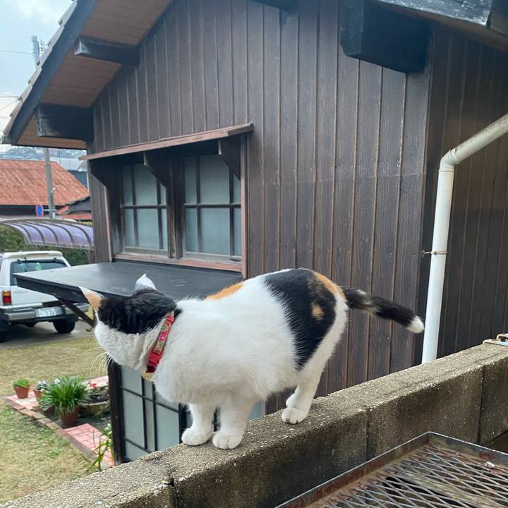 8c3058af 3283 4d4f 8f30 46ca5bd1fb4c 1643753475272