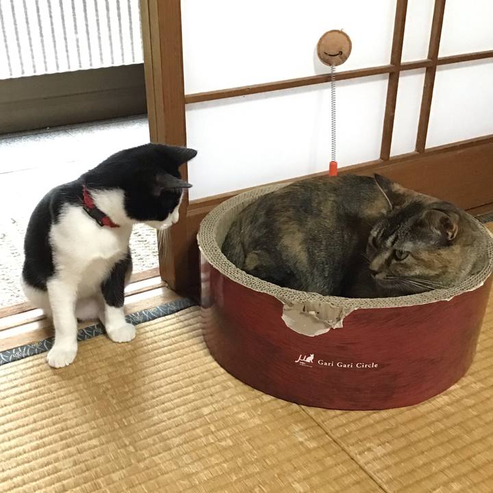 8c305ddd 91e4 40a2 bb4e 7019b21b20b3 1627972509519