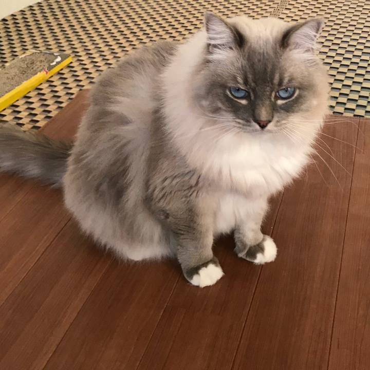 8c306fa9 8e48 4bb2 8142 bcc285be68b1 1513264253041