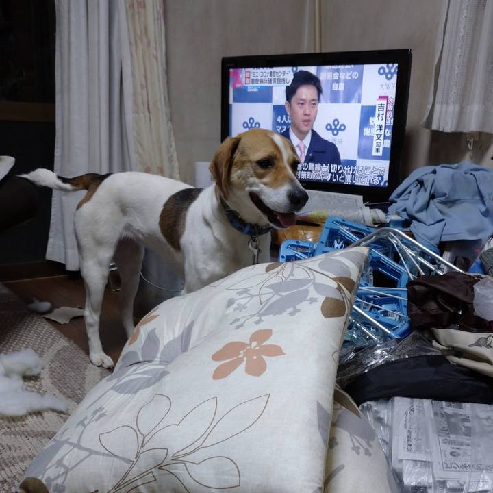 8c30c86e 5093 4657 867d b069214fd46a 1615532766072