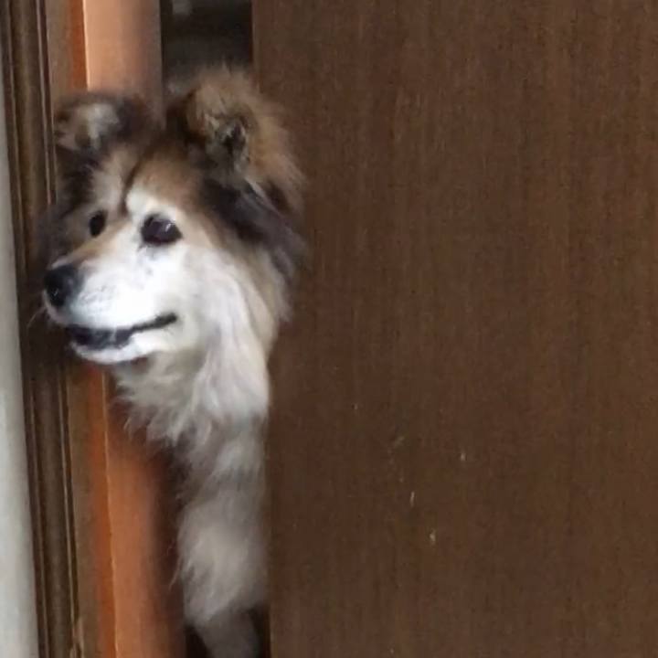 8c30d14c 95e3 4eb2 9b17 4a27a585daf7 1617842853848