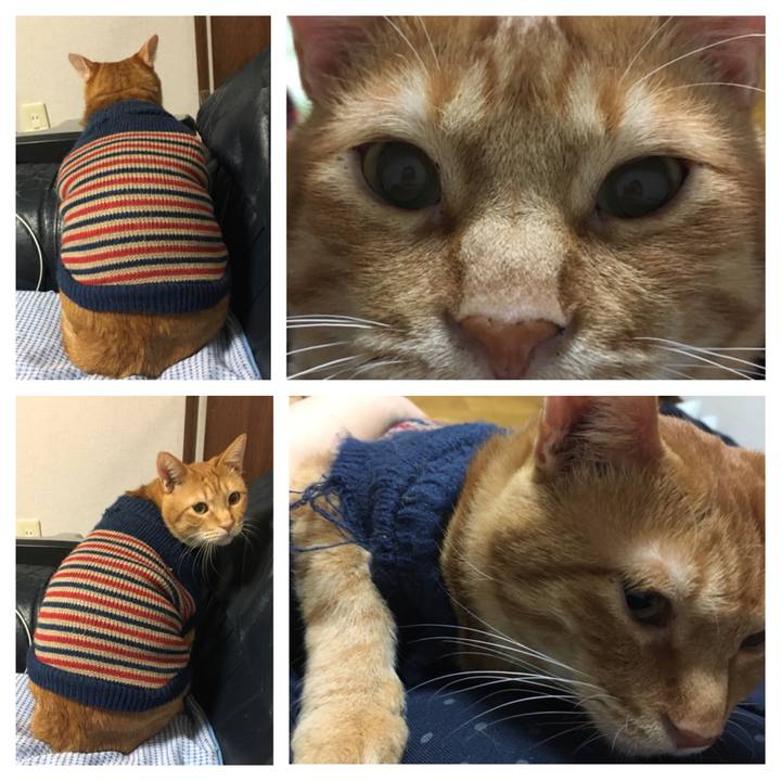 8c30ff25 9f1e 4edf 8268 91bb22a1d5d8 1541501533100