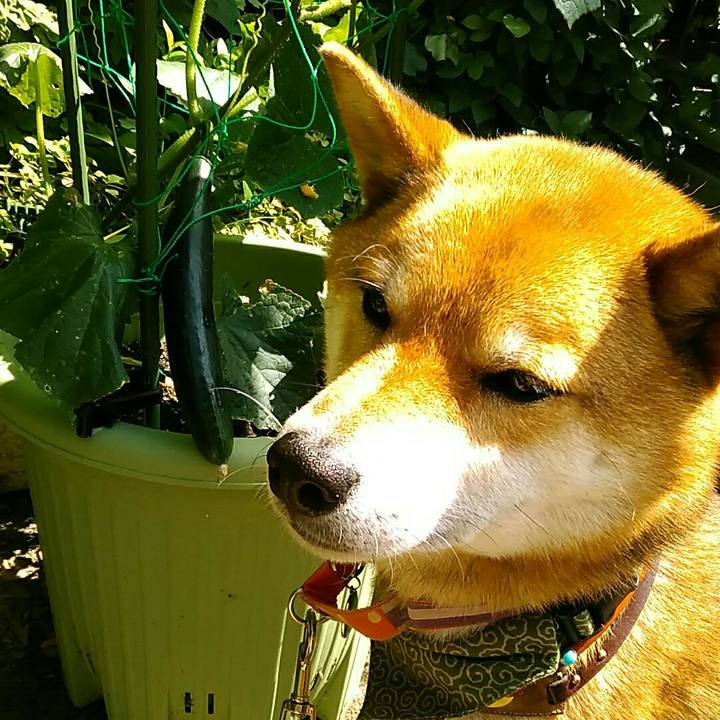 8c311382 9230 42ec b181 fd8ba28b765b 1528156715463