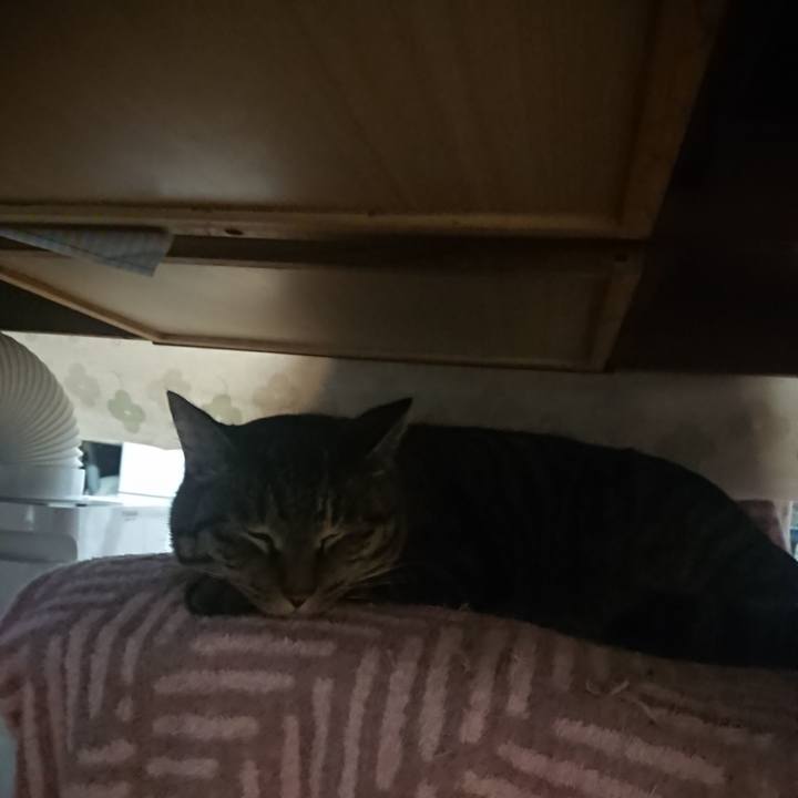 8c314d35 adc1 4bc9 ab87 3c5b15b37576 1642889790661