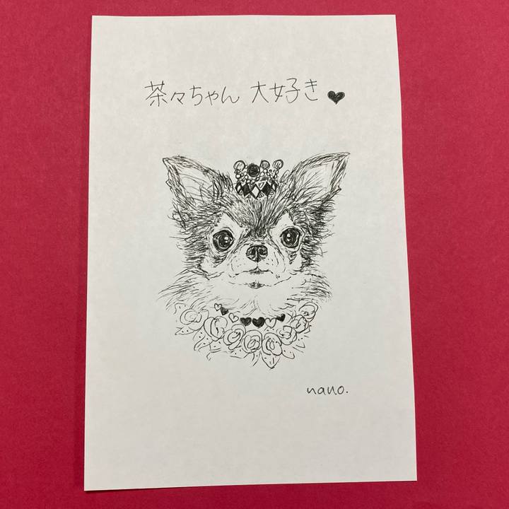 8c31a209 da02 46ae 816c 6cc61598d767 1639036348151