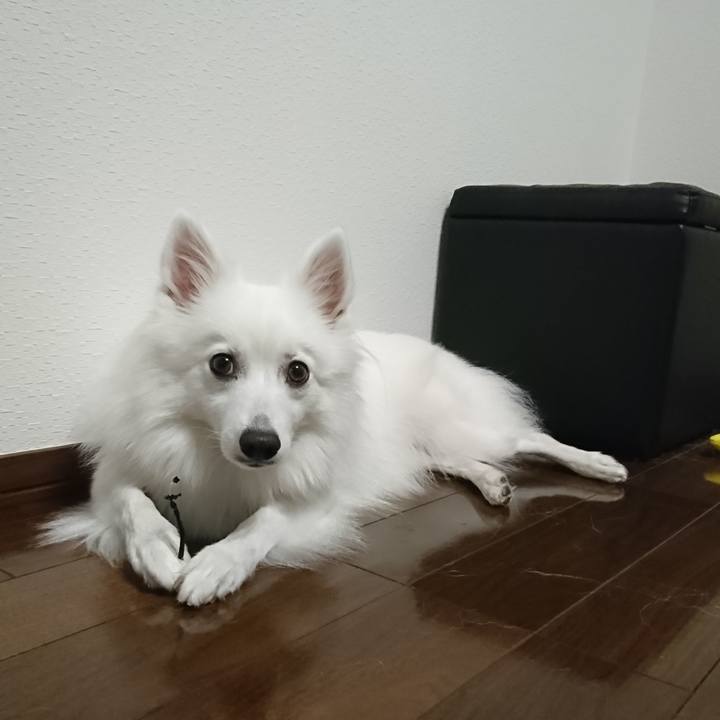 8c31d68a c85a 43e0 ada4 0e49ac62c831 1538405053821