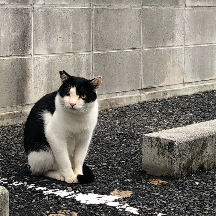 8c31d942 fae0 40f5 a9f0 3cfc80055535 1539321804846