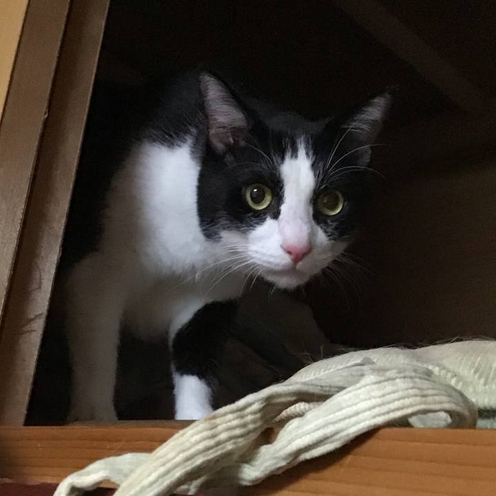 8c31e500 1f6c 4716 a1f8 fa87c201a13a 1760261414526