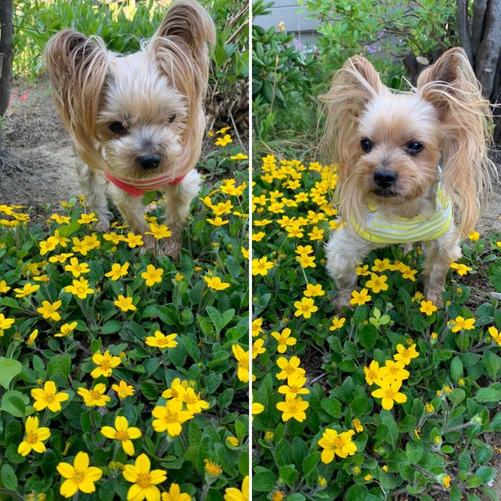 8c320bdc ed16 4201 9390 c5a3fa05d3cb 1623147068889