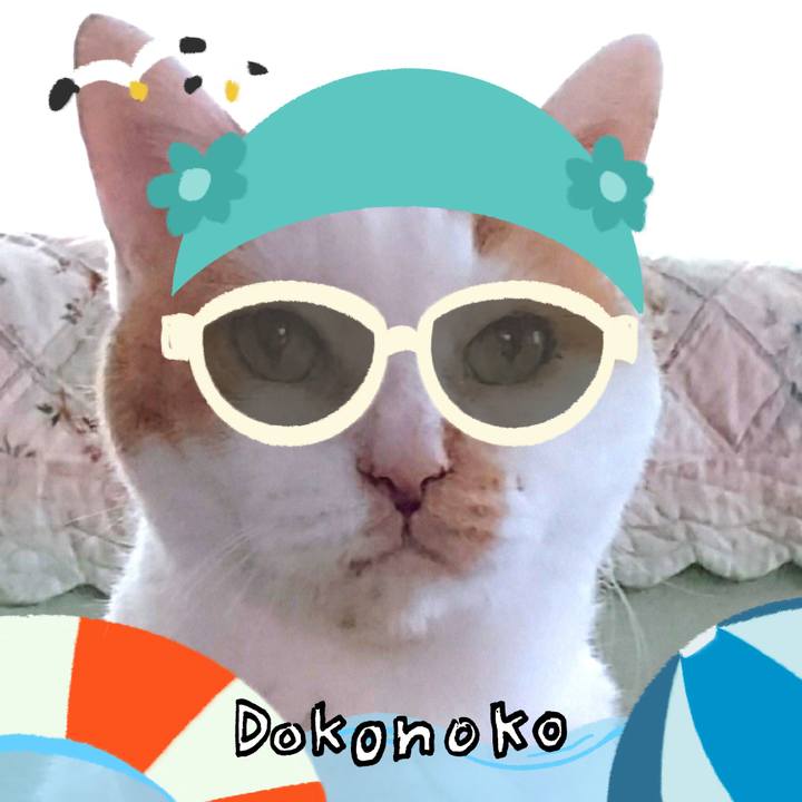 8c320e7d 3df3 4c85 a30e 883700a10746 1723203319089