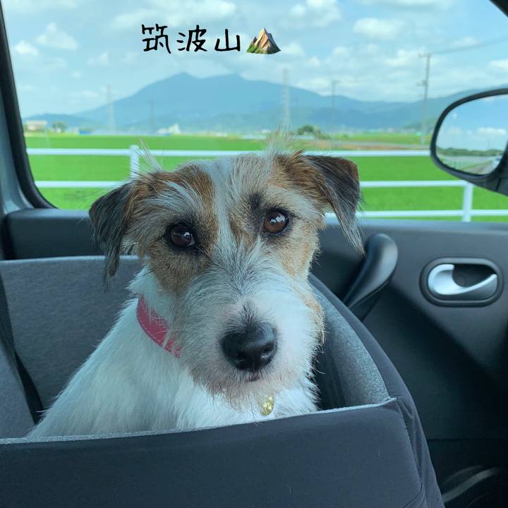 8c320e9c 2f15 4577 bc63 9ff7fab8f95a 1596426083347