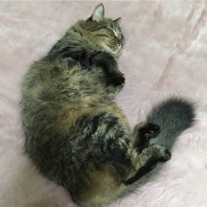 8c321191 7ee8 4ce3 b8ac 507fd04474c7 1767520794765