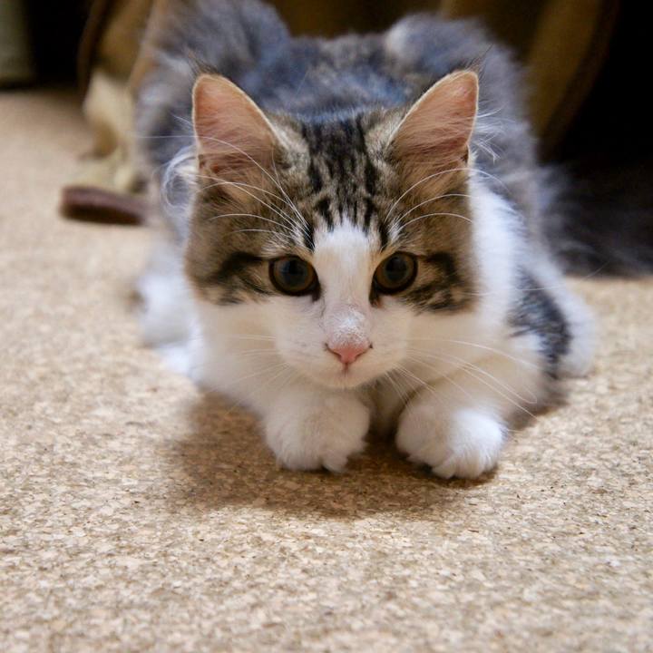 8c32817b a120 4b4d 89a7 534d4cd5a1da 1555665508314