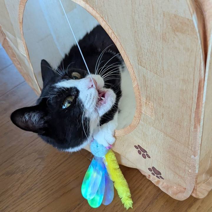 8c32b0cf 6e93 41b4 baf0 007943ba891f 1752995990713