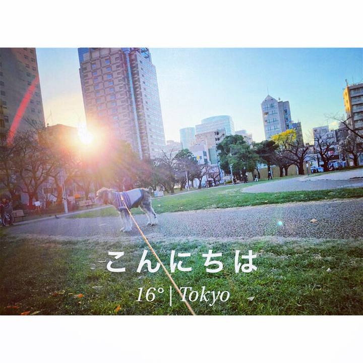 8c32d3d1 3c0c 4e09 ae2b 5e7ea4cb2b2c 1513666897524