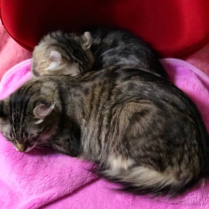 8c32f365 c0cf 4223 ae6c 7378059b8564 1518447439996