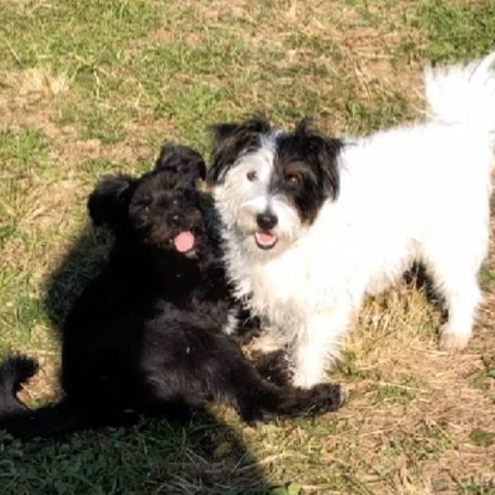 8c32f6ba 94d6 4d12 9681 cf1ebb7535f0 1577868040600