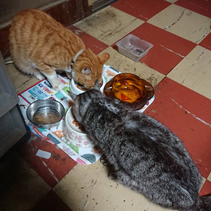 8c33136f bc02 42d8 a385 de00397bcae7 1595188556444