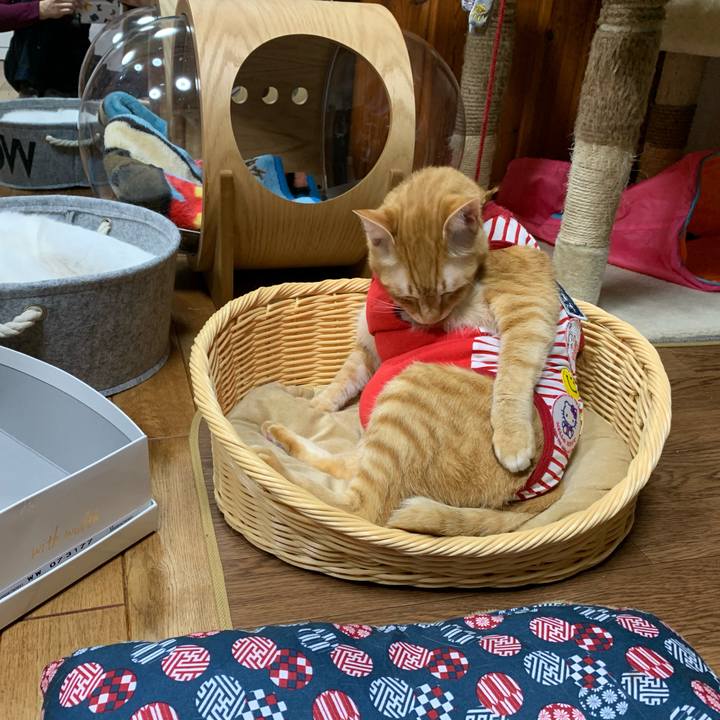 8c334a33 4e18 46f3 acae 55c51a8b5eab 1583756109199