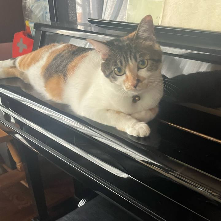 8c339b75 9597 4bf2 a8db 3bee5ec00f36 1756092878597