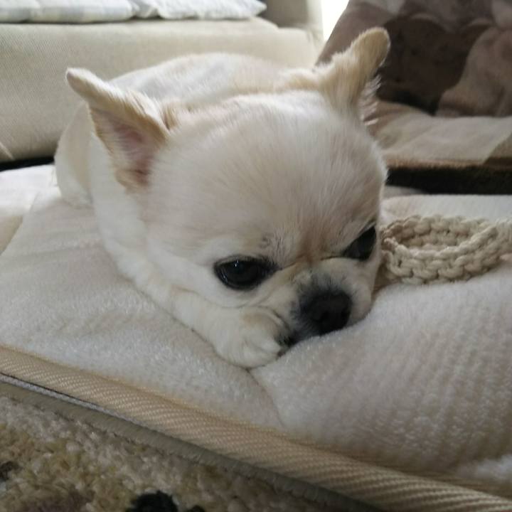 8c33a29d b715 4725 a869 00a965ca896a 1546058799572