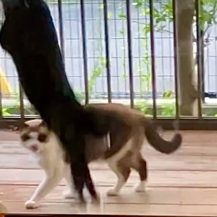 8c34203a 9e57 42f3 a656 8f363500ff5b 1729416848287