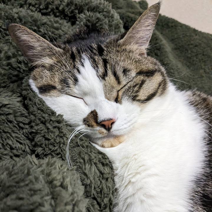 8c342121 19b7 48ac ae70 1f7f861da699 1696821441164