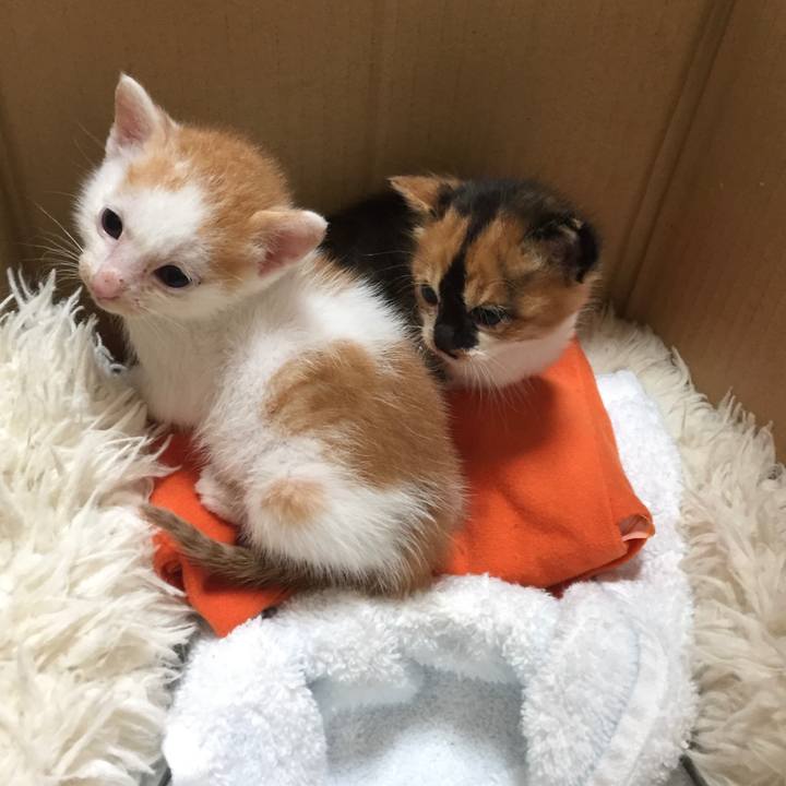 8c342e12 96d6 404b 8181 68c85b0f89ab 1619349634216