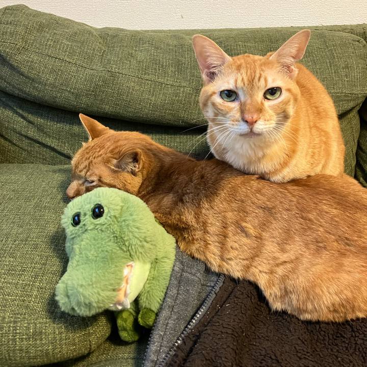 8c343d0c b3c3 429d 892f 9cf08755f10b 1764194604401