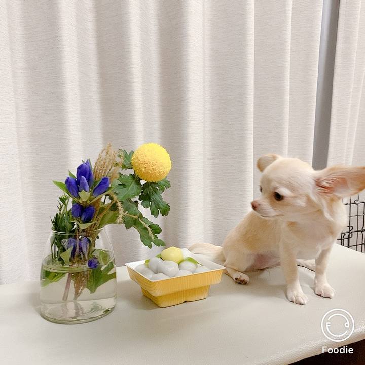 8c345ff7 6c9b 4924 9473 55fdde270d14 1601556069679