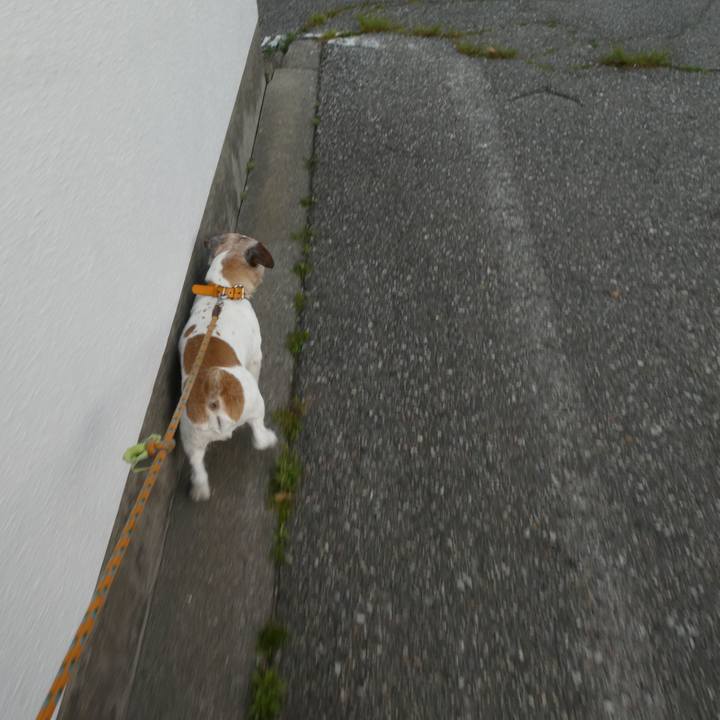 8c3465b4 02d2 4668 b65e acada0d1baa2 1589284400584