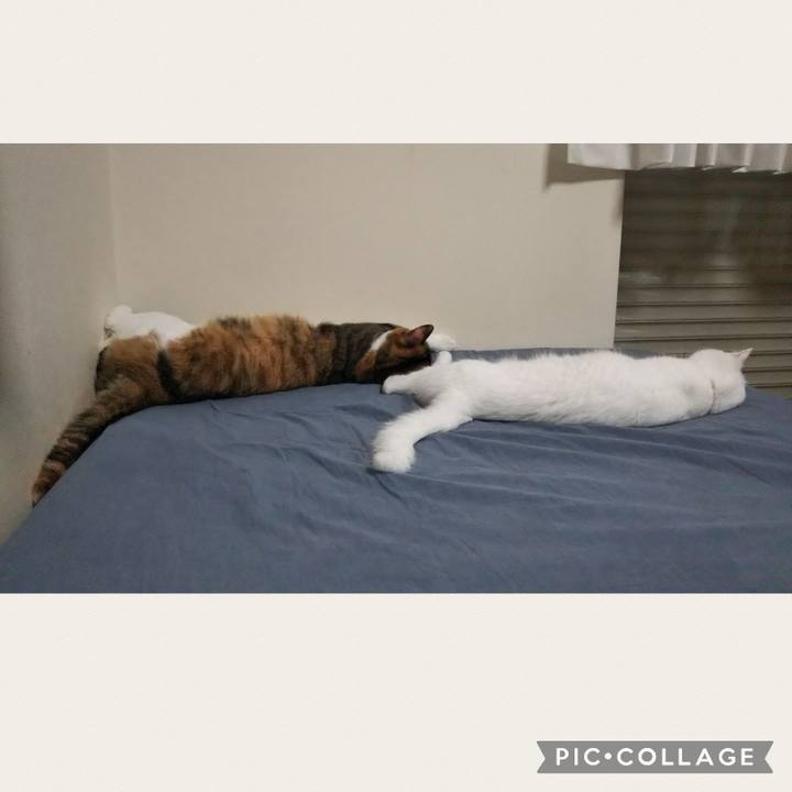 8c348552 4c10 4e55 8d8e af52b06217d6 1694292289524