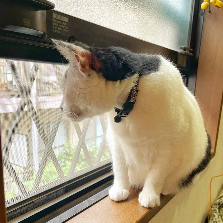 8c34a395 c159 42b5 8ec5 e523b46b1c93 1754002463956