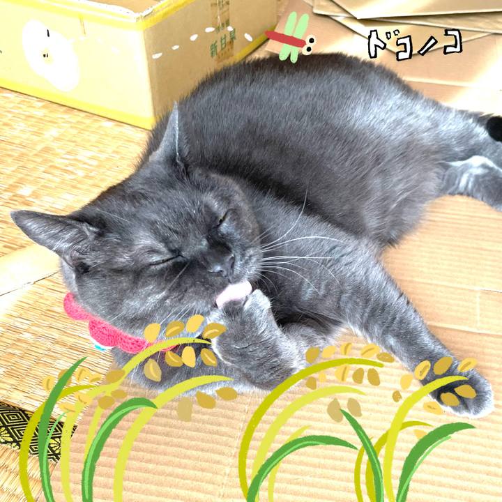 8c34e692 27e7 4f91 821f 45262d207dff 1762294227304