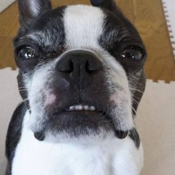 8c351983 3e38 4c1e bc70 1884d0f5dc3a 1523593262328