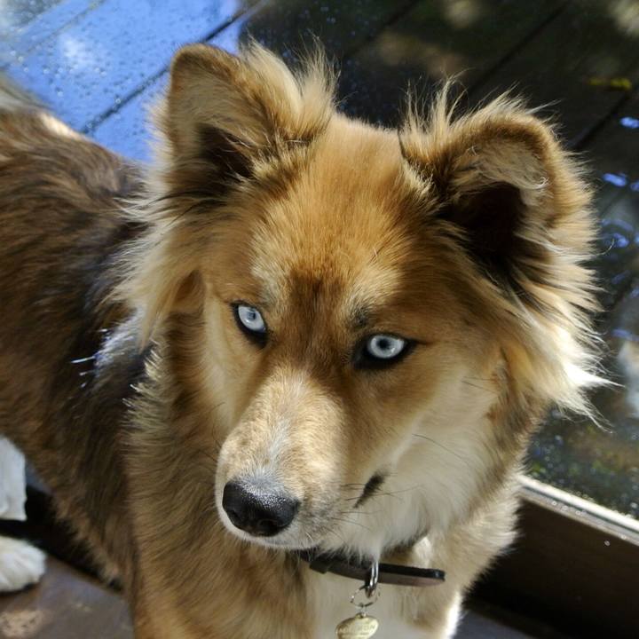 8c354cef a701 4842 8204 c32286543e26 1542853386038