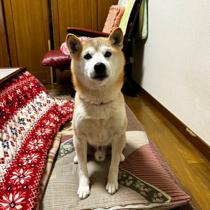 8c3561e2 a97a 4358 b0b1 927f74369d51 1766832210543