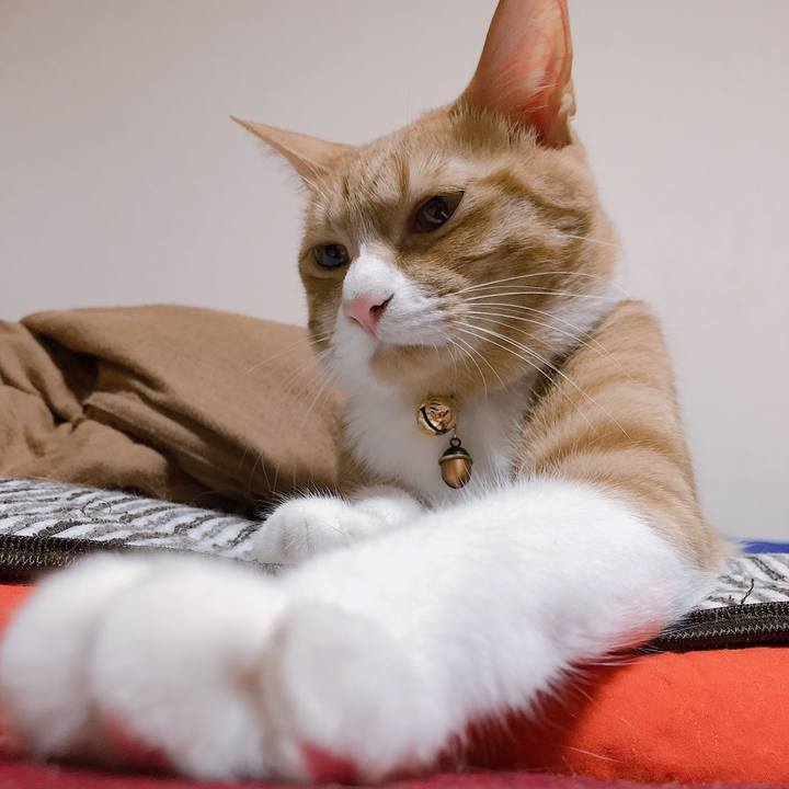 8c357693 8400 4b99 b57b 8adf0119079b 1570965503671