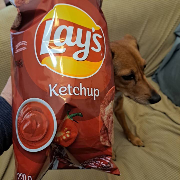 8c357e83 9389 4b14 b5c0 c1ef87709763 1761430790223