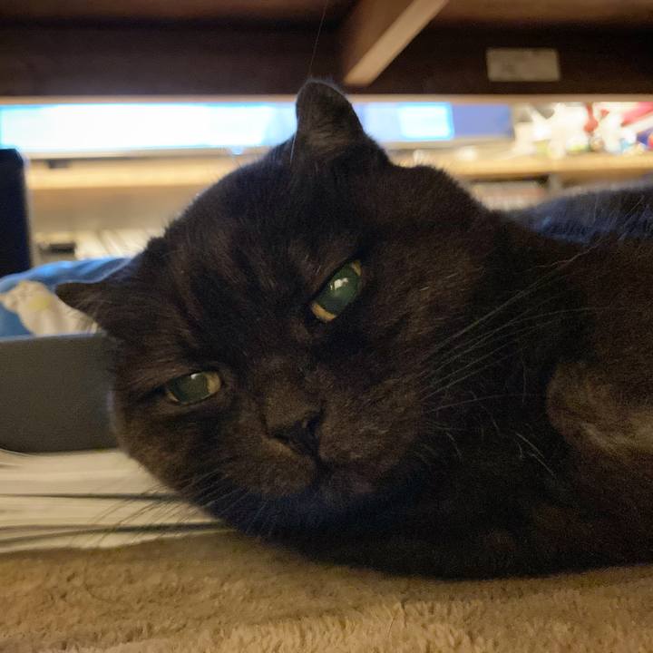 8c359a2c c10c 435b b4eb ab361588226c 1637251573795