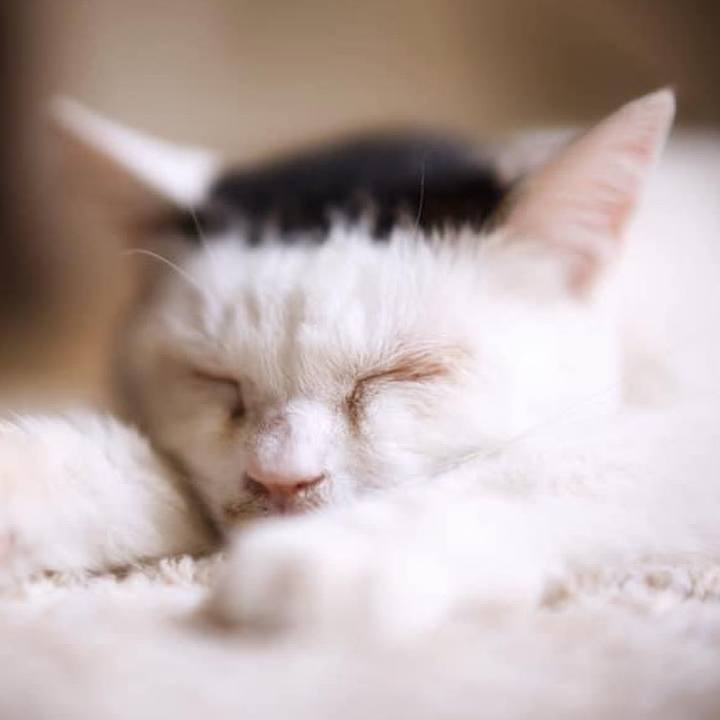 8c35b93b 9f2b 4583 bc23 1d51e08e12e5 1630494589983