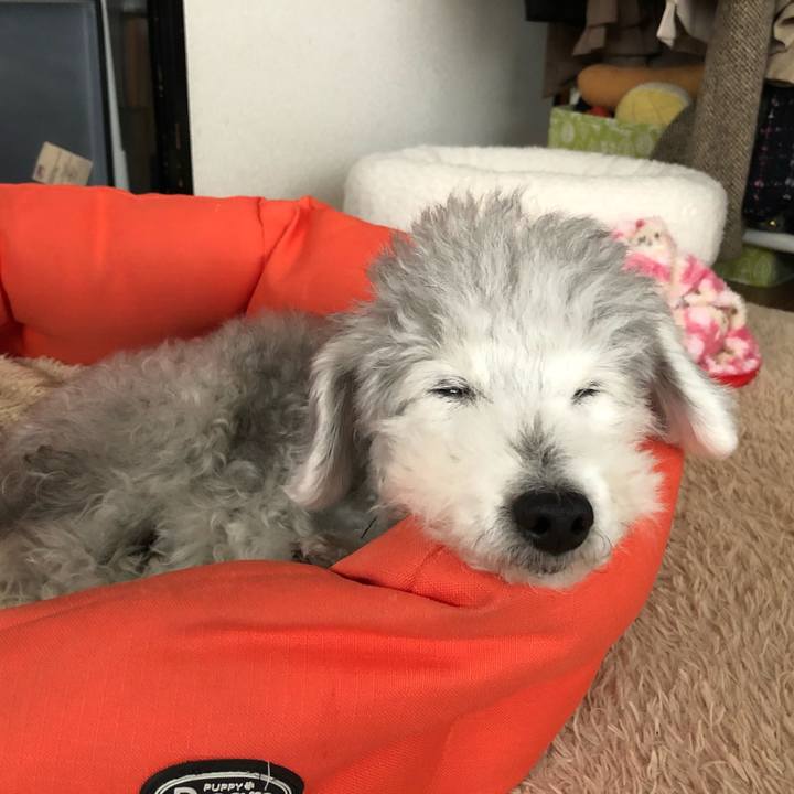 8c35cb62 d414 4964 bc5a 7fceb8d8f8cb 1580089693802