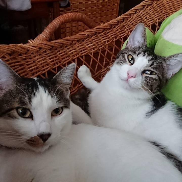 8c360ede 4ac7 4594 b01c 63d8a453d052 1509610427442