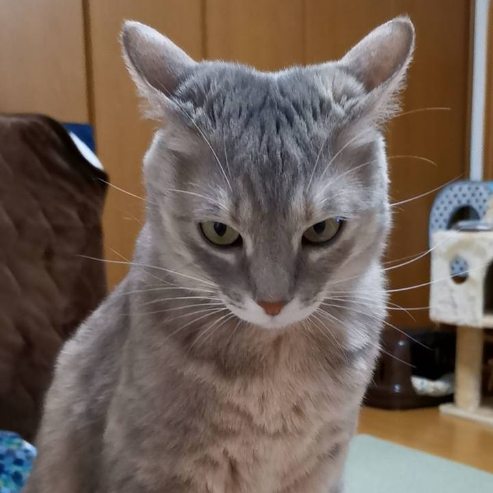 8c3616a8 8322 4f3d bebc e0e8d9fa13dc 1611065641036