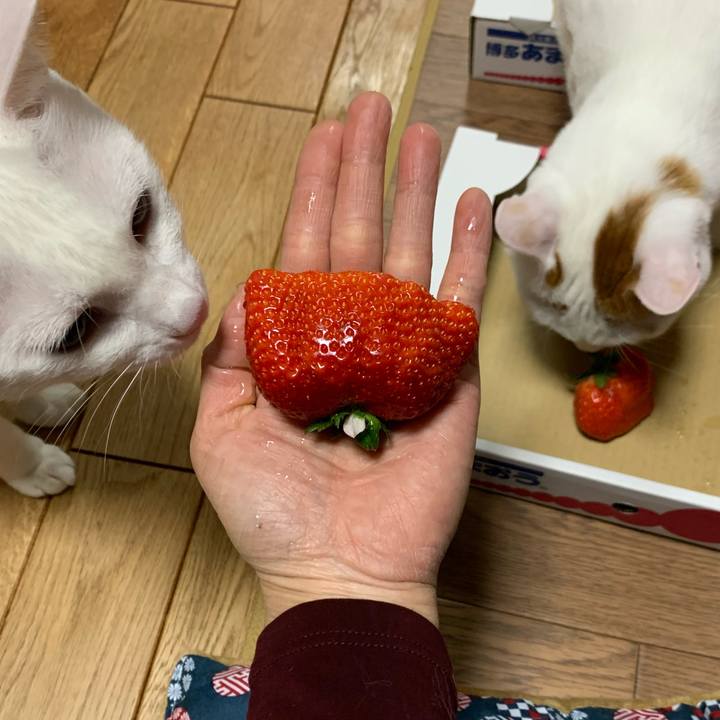 8c361ce6 c34d 443e 8fa0 74758c271e52 1580910514482