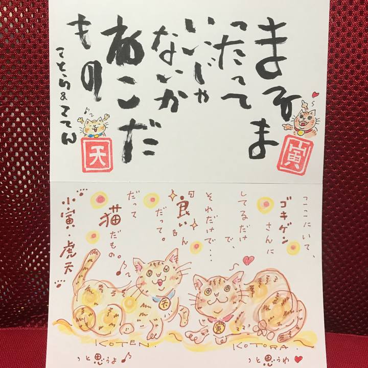 8c363223 12ac 4293 a321 36b49c0acb87 1561557626768