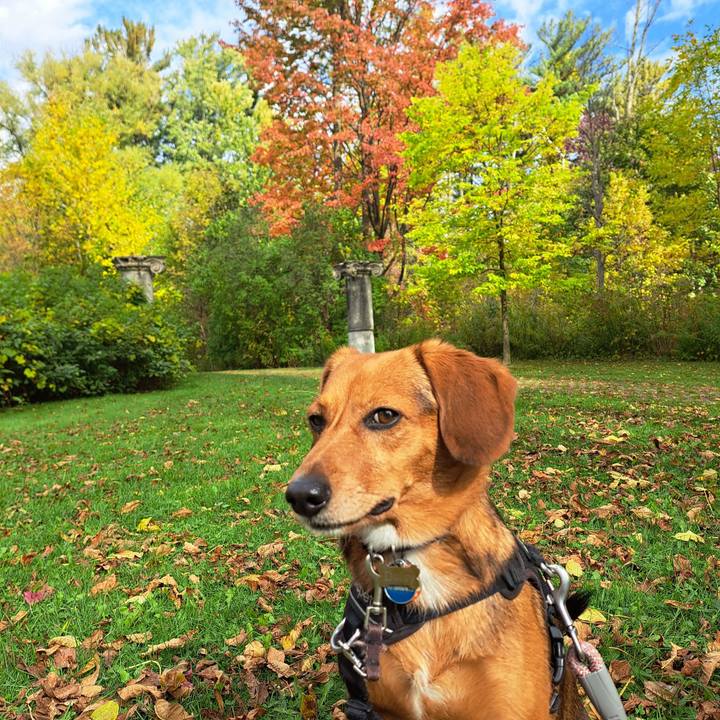 8c363c1e 249b 429c ae4c 271fedf8742e 1760837746008