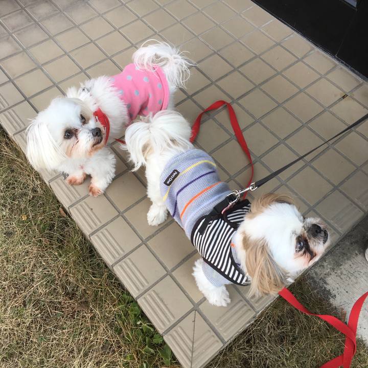 8c368ade ef60 45be 87c8 8c367125501a 1513394029418