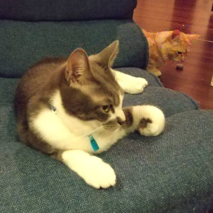 8c369220 7b70 469d 8a54 5e26229dff04 1618404077342