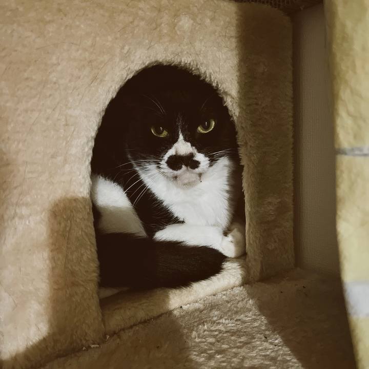 8c36937b 78c5 443c 9e91 cd2dd3294c7f 1653395887175